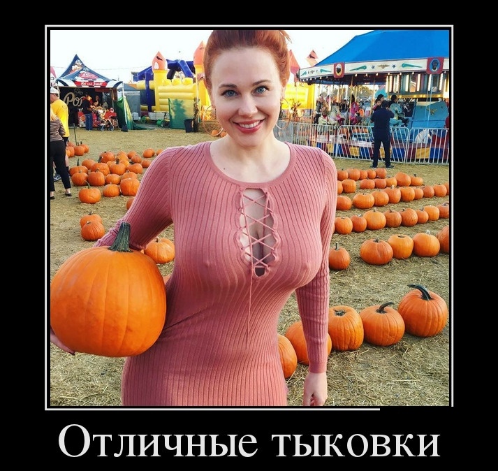 Свежие и забавные демотиваторы про отдых, веселье и еду для поднятия настроения на всю неделю демотиваторы свежие, смешные демотиваторы