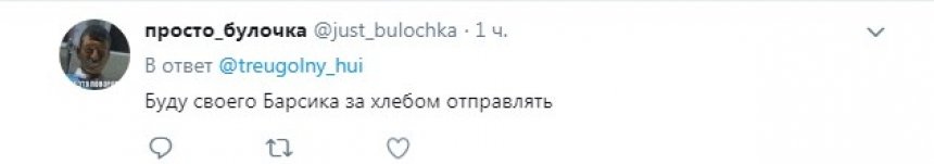 «Отправлю своего за хлебом»: россияне оценили нововведение с самостоятельным провозом животных в поезд