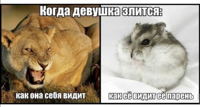 Шутки и мемы про отношения и современных девушек Шутки и мемы про отношения и современных девушек позитив,смешные картинки,юмор