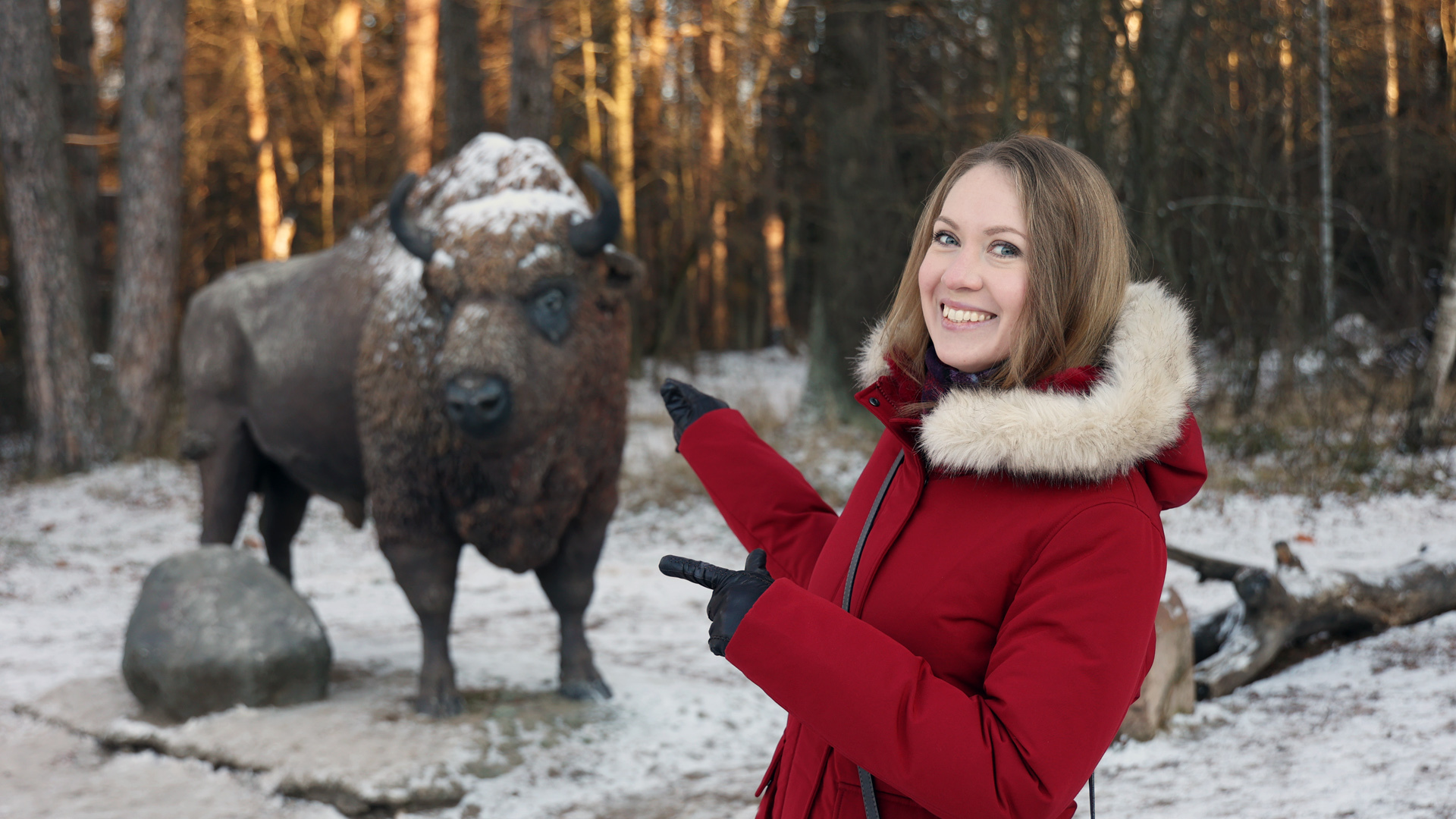 Куда сбежать из города? Зубры. Серпухов. Чехов. Подмосковье - чем заняться зимой.