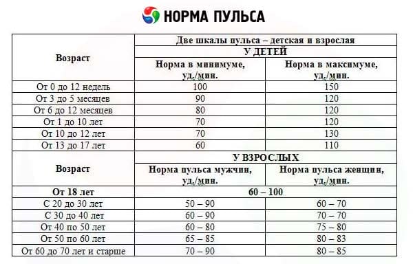 Каким должен быть пульс здорового человека и как его измерять сокращений, удмин, пульс, следует, сердечных, жизни, может, человека, пульса, частота, ударов, частоты, однако, сердце, минуту, наиболее, нагрузки, около, существуют, более