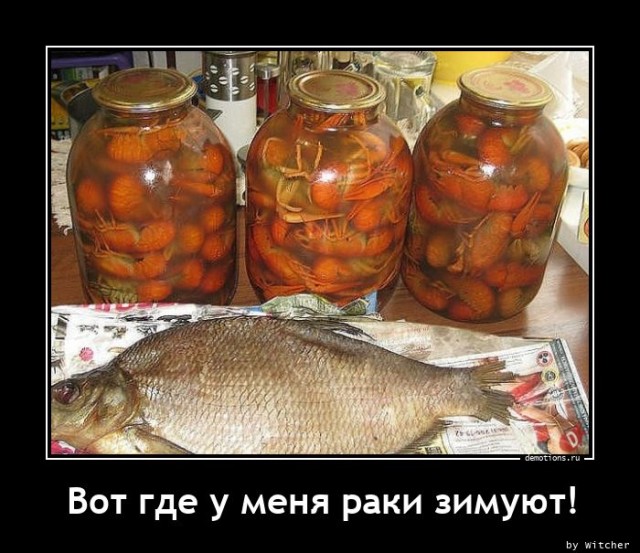 Демотиваторы дня: «На кастинг к Шишкину» 