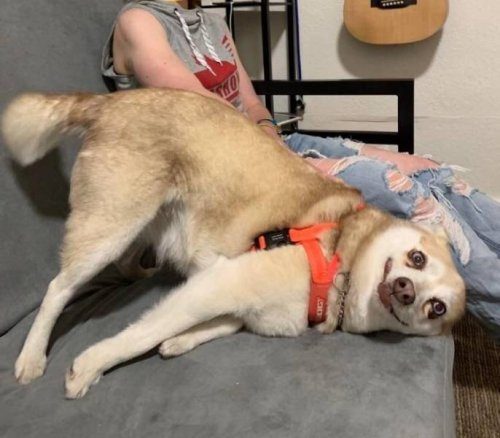 Фотоприколы на любой вкус и цвет 