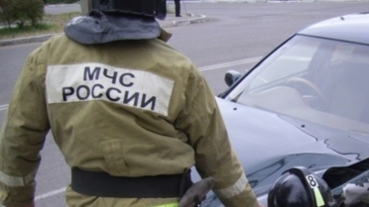 Сотрудники МЧС из Волгограда спасли застрявшего в колодце жеребенка