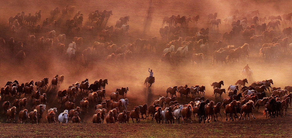 Фотографии участников ежегодного конкурса Sony World Photography Awards 2018