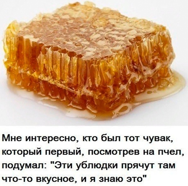 Интернет мемы в воскресение 