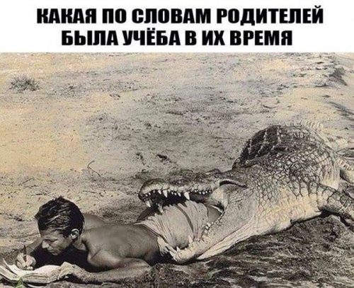 Прикольные картинки дня (50 шт)