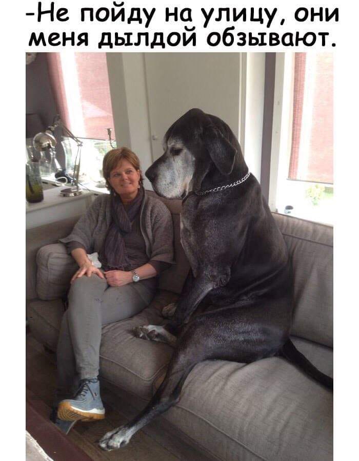 Первая фраза, которую я услышал от деда, когда приехал в деревню в гости.. Первая фраза, которую я услышал от деда, когда приехал в деревню в гости.. анекдоты,веселье,демотиваторы,приколы,смех,юмор