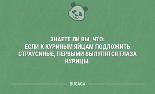 Отличная порция анекдотов (11 шт) анекдоты