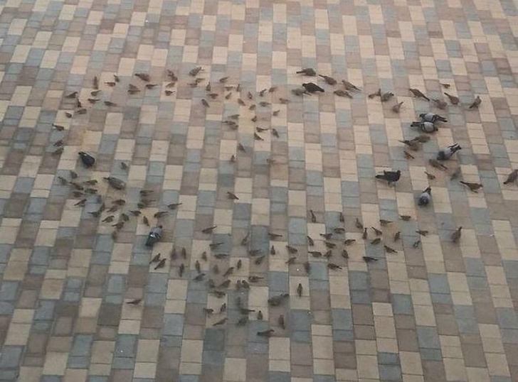 19 трогательных моментов из семейной жизни, которые лучше любых слов расскажут о любви