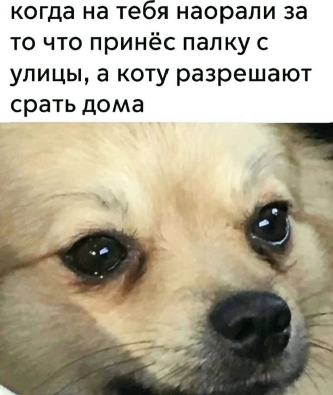 Как человек хрупок: стоишь - варикоз, сидишь - геморрой, лежишь - пролежни Как человек хрупок: стоишь - варикоз, сидишь - геморрой, лежишь - пролежни