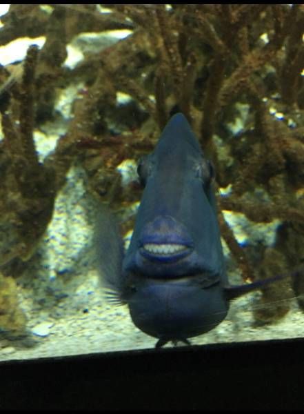 Подборка картинок. Дневной выпуск (51 фото)