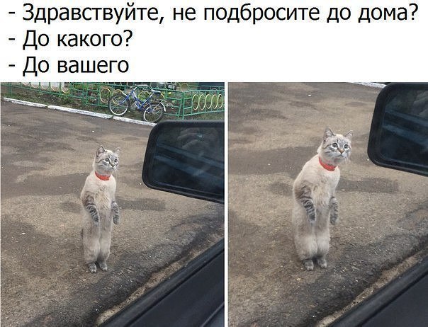 Свежие фото и картинки с надписью для поднятия настроения (11 фото)