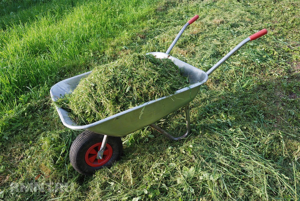 Как можно использовать скошенную траву