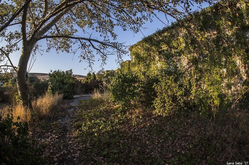 Заросший пионерский лагерь в Крыму Заросший пионерский лагерь в Крыму самостоятельные путешествия,туризм