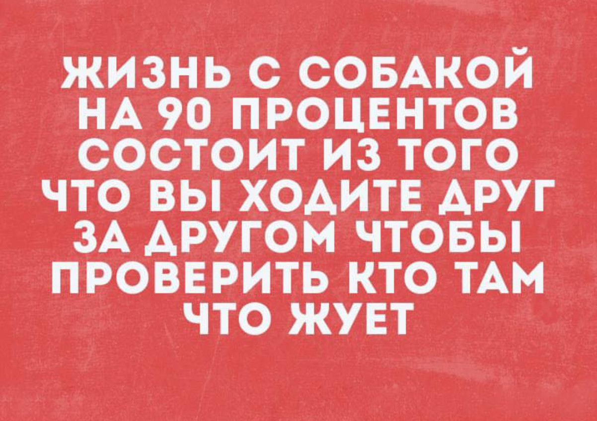 Как человек хрупок: стоишь - варикоз, сидишь - геморрой, лежишь - пролежни Как человек хрупок: стоишь - варикоз, сидишь - геморрой, лежишь - пролежни
