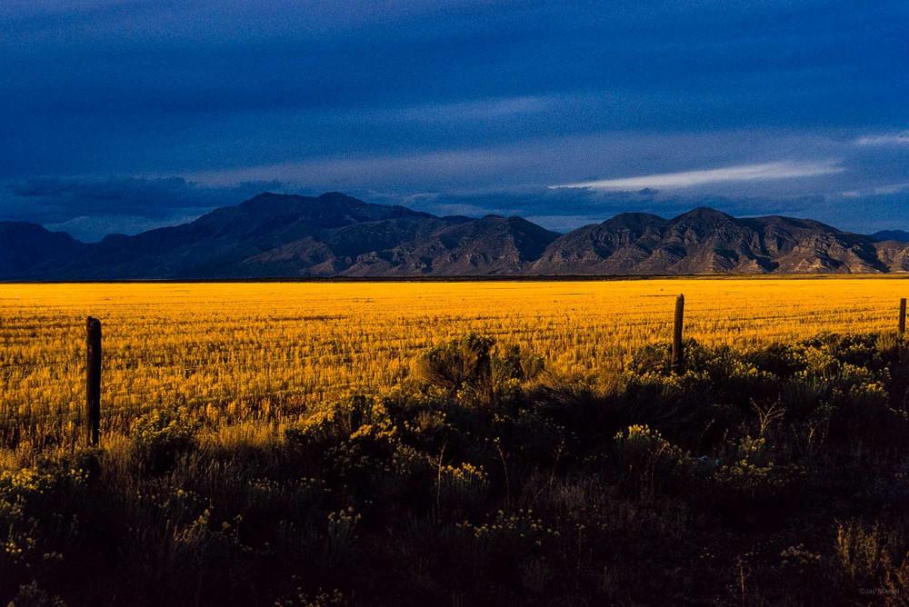 Джей Мейзел – искатель ярких уличных сцен фотография
