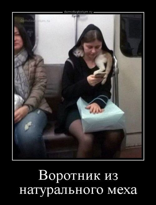 Забавные демотиваторы дня 