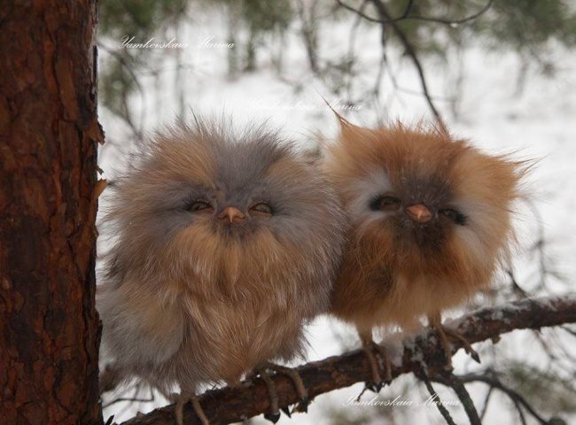 Обалденные игрушки, которые вдохновляют на творчество домашний очаг...