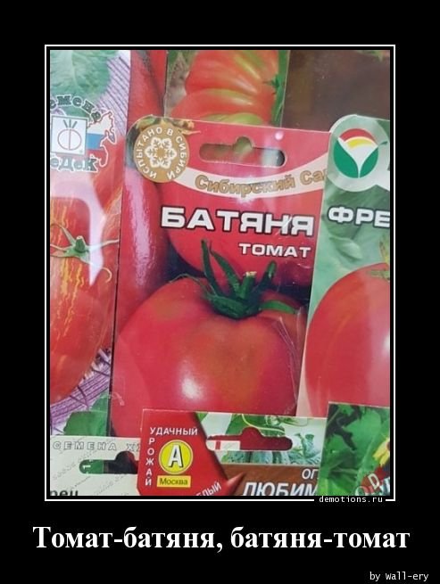 Демотиваторы для хорошего настроения Демотиваторы для хорошего настроения демотиваторы