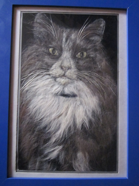 портрет кота из собственной шерсти