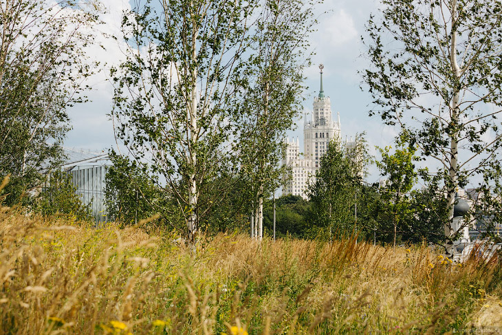 Как выглядит самый дорогой парк в Москве год спустя