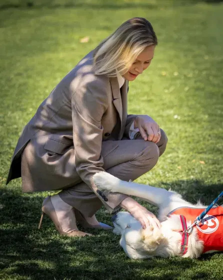 Княгиня Шарлен, князь Альбер II и члены монаршей семьи посетили приют для животных в Монако Шарлен, Альбер, князь, Монако, княгиня, Масси, животных, князя, приюта, семьи, Гримальди, Камилла, Стефания, принцесса, принцессы, ШарленКнягиня, МеланиАнтуанетта, IIКнягиня, Уиттсток, IIГарет