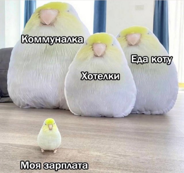 Юмор для тех, кто уже повзрослел и понял, что «иметь всё» - значит ещё и чинить всё 