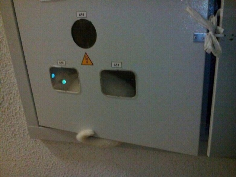 Неожиданные кадры из серии Неожиданные кадры из серии