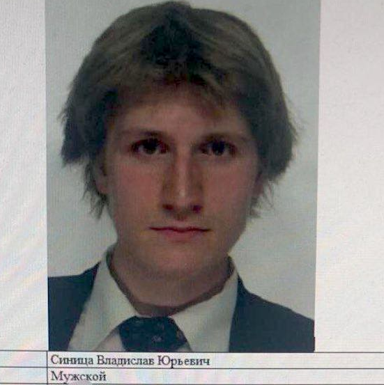 Синица блоггер