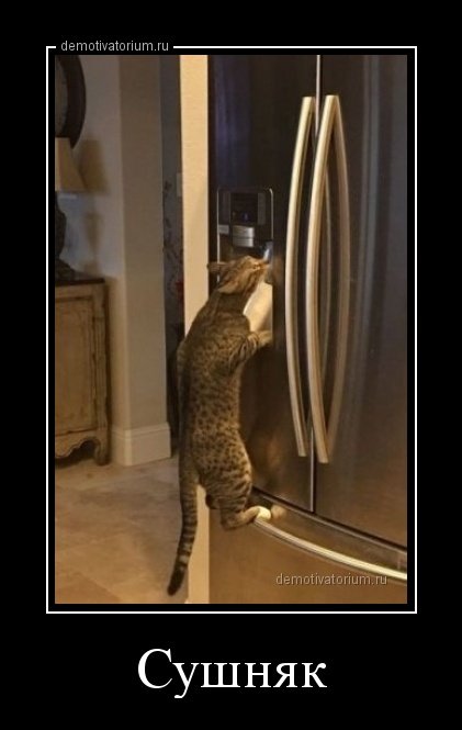 Демотиваторы дня Демотиваторы дня