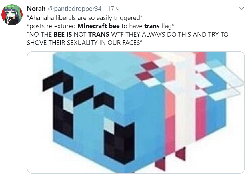 Minecraft bee is trans.