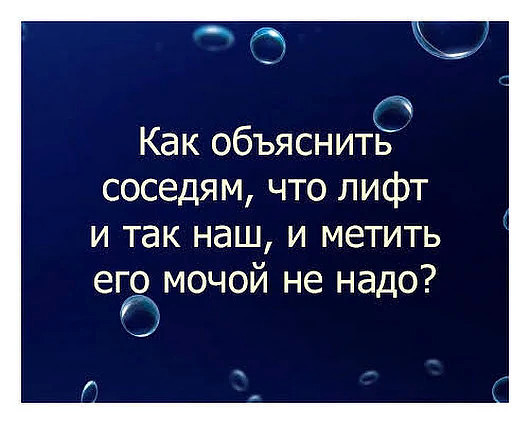 — Кaкая у вaс крaсивая собакa! Онa, навeрное, умная?.. весёлые