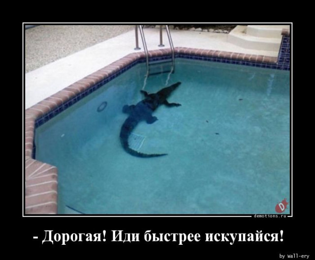 Демотиваторы на четверг: «Замечательный мужик…» 