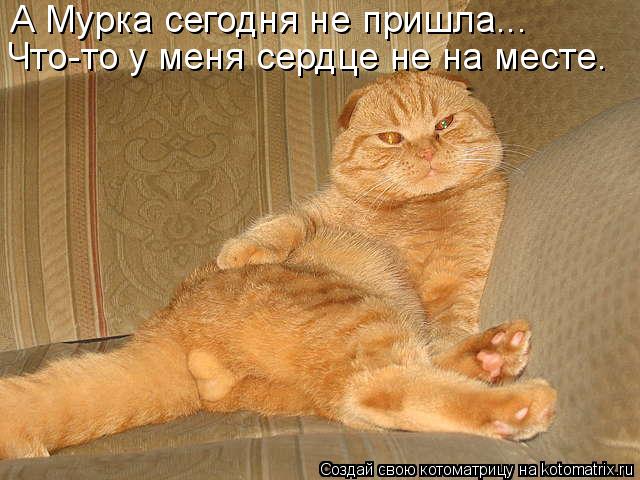 Мысли вслух :)