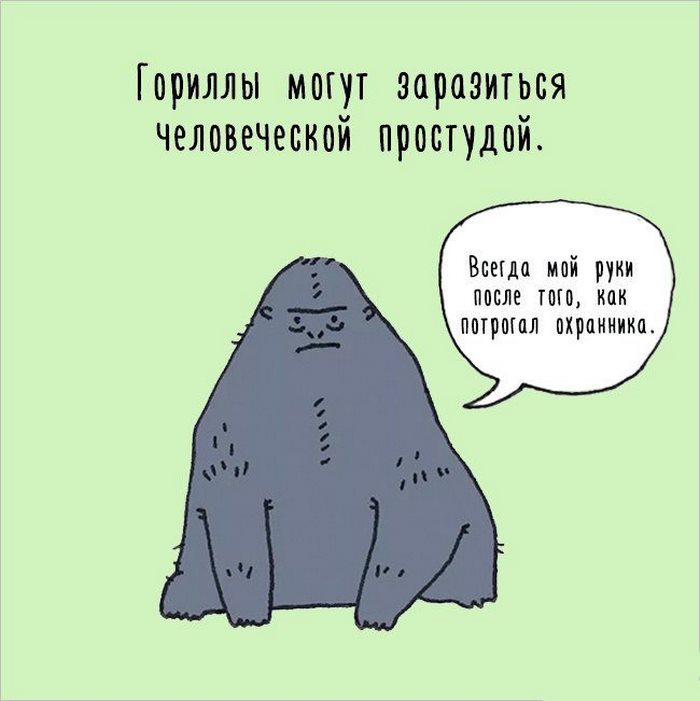 Ночи, приколы картинки факты
