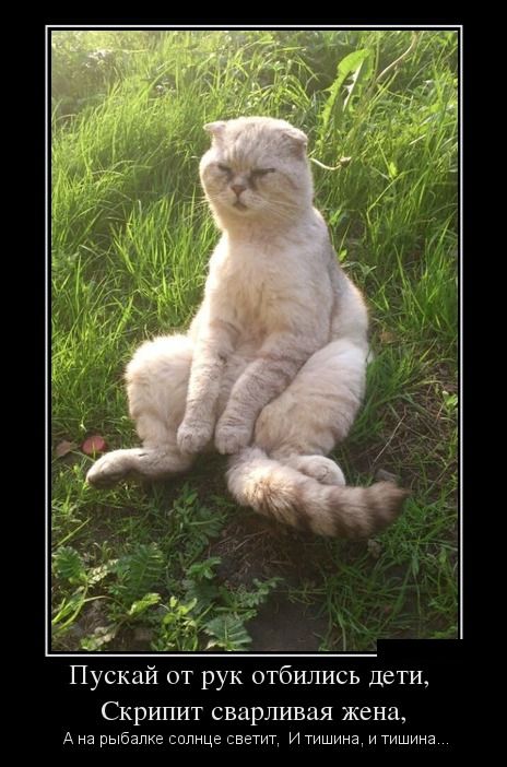 Демотиваторы дня: «На кастинг к Шишкину» 