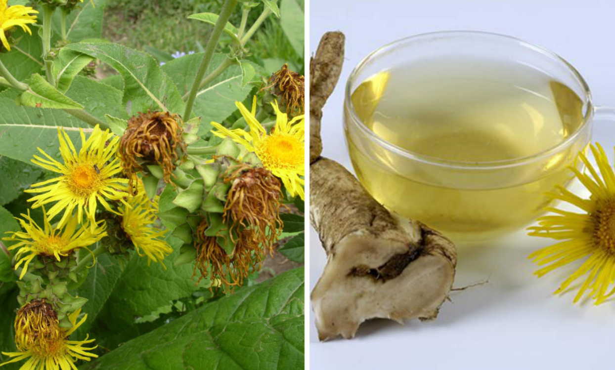 Упадок сил отменяем - иммунитет поднимаем!