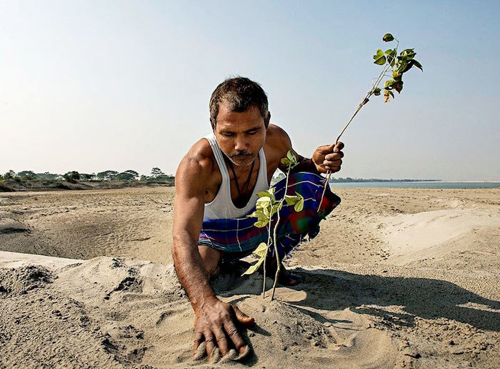 40 лет каждый день мужчина сажает на острове деревья, спасая его от исчезновения 