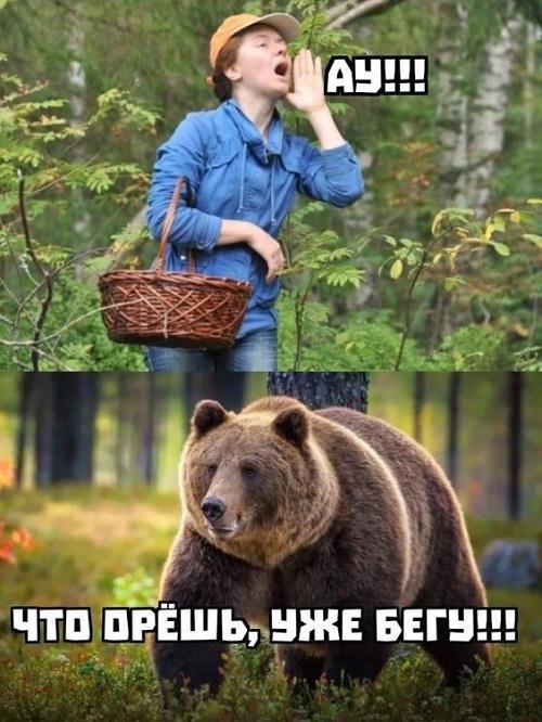 Юмористические жизненные ситуации в картинках Юмористические жизненные ситуации в картинках