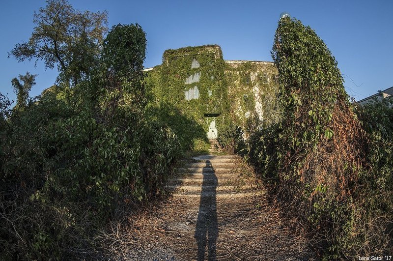 Заросший пионерский лагерь в Крыму Заросший пионерский лагерь в Крыму самостоятельные путешествия,туризм