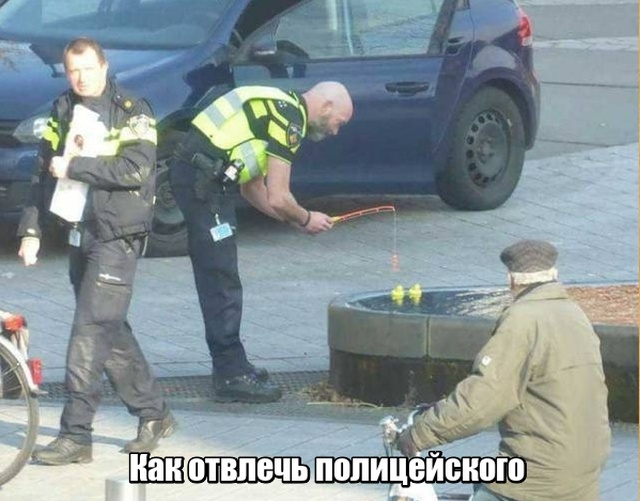 Подборка прикольных картинок Подборка прикольных картинок позитив