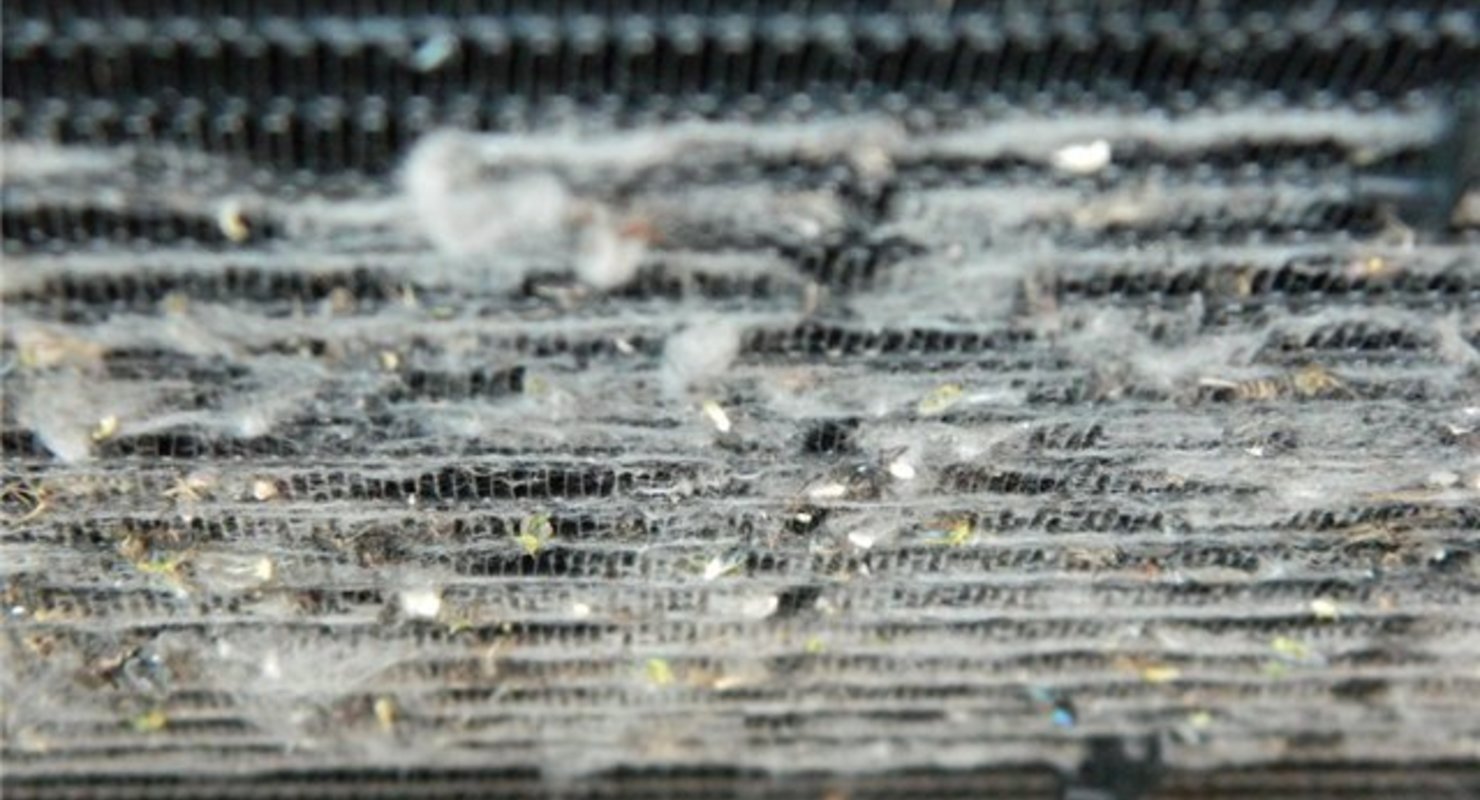 Тополиный пух, листва и другие летние находки в радиаторе