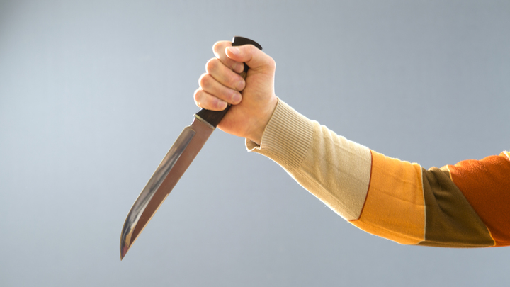 Мальчик с ледорубом, девочка с ножом: Хроника инцидентов с холодным оружием в российских школах