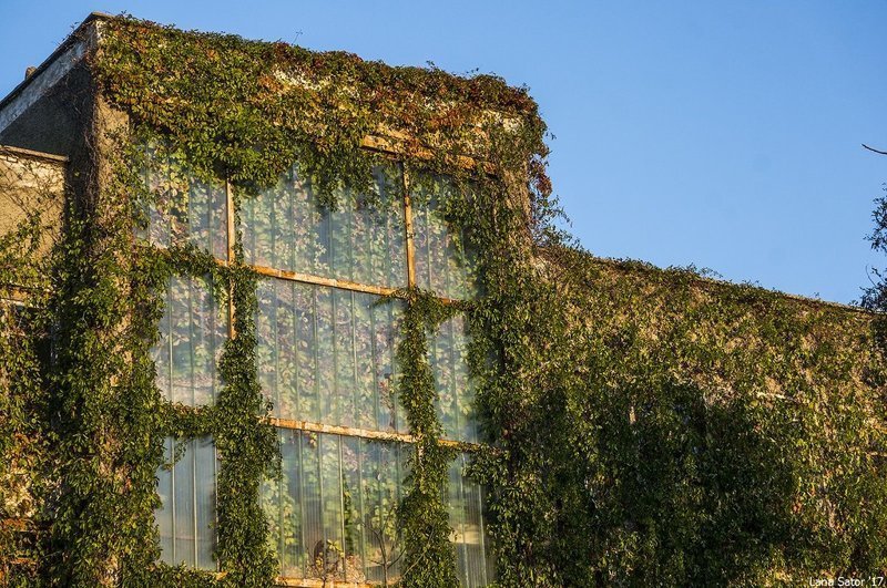 Заросший пионерский лагерь в Крыму Заросший пионерский лагерь в Крыму самостоятельные путешествия,туризм