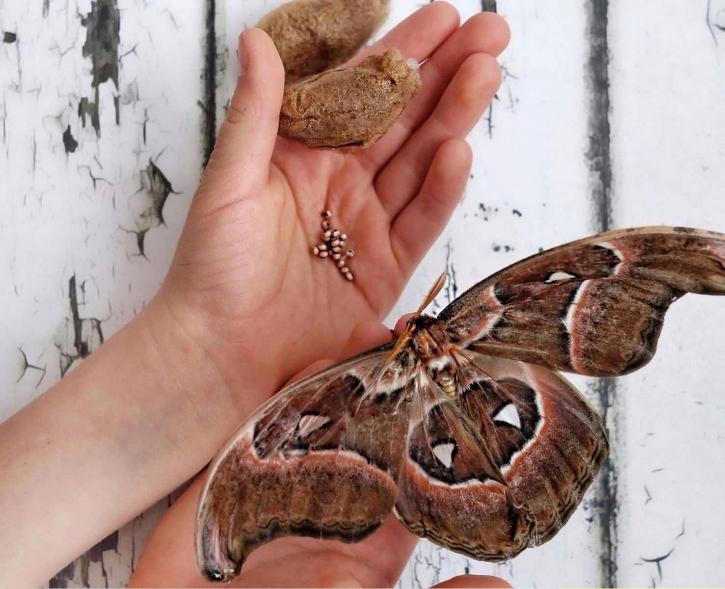 Screenshot_2025_09_05-5