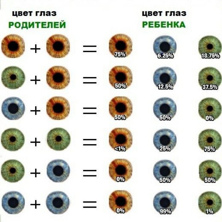 Какие шансы цветов глаз. Цвет глаз. Цвет глаз родителей и детей. Цвет глаз ребенка. Цвет глаз таблица.