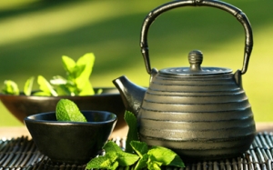 История происхождения и виды чайников для заваривания чая