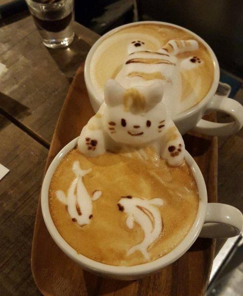 Фотоприколы на любой вкус и цвет 