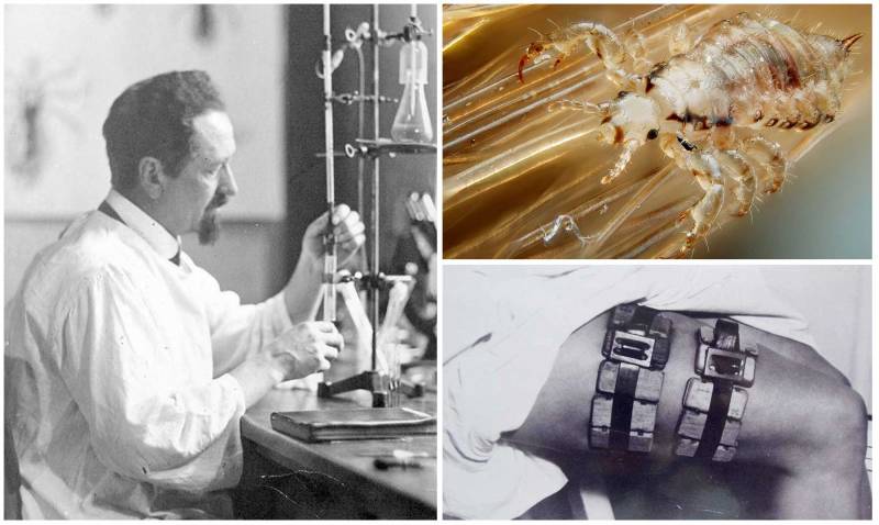 Тиф в 1941–1944: бактериологическая война